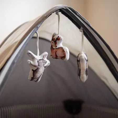 Ferienhaus-anton-charlotte Casa vacanze *