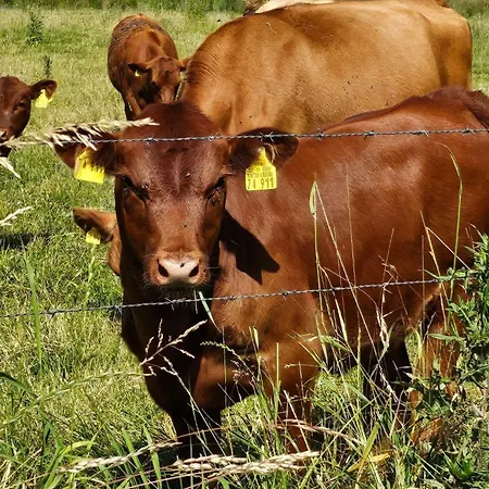 Ferienhaus-anton-charlotte Casa vacanze